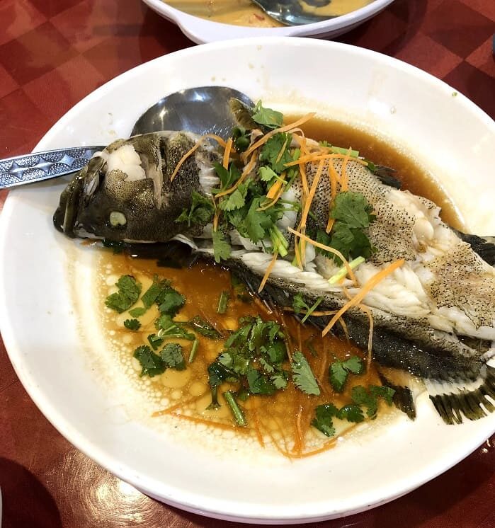 fish